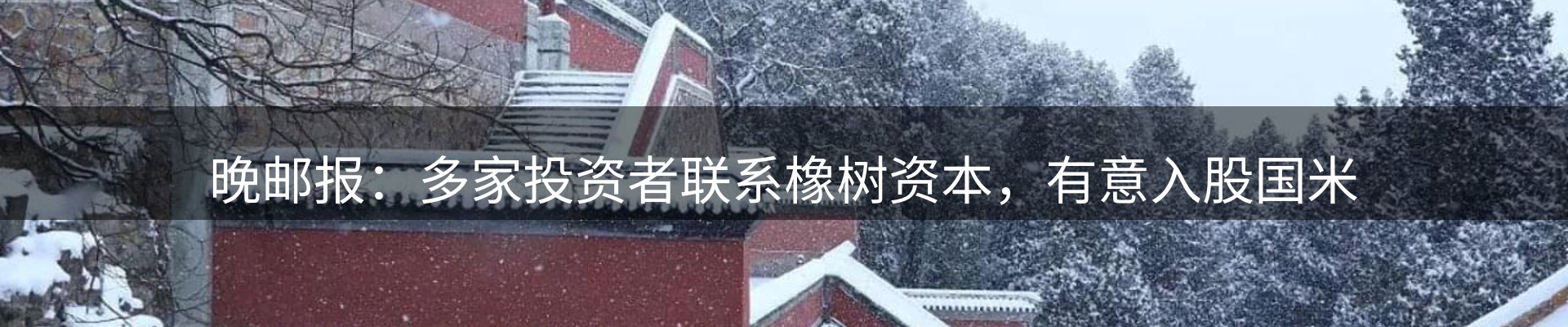 网站资讯