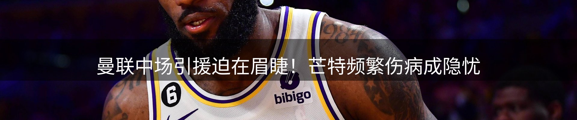 网站资讯