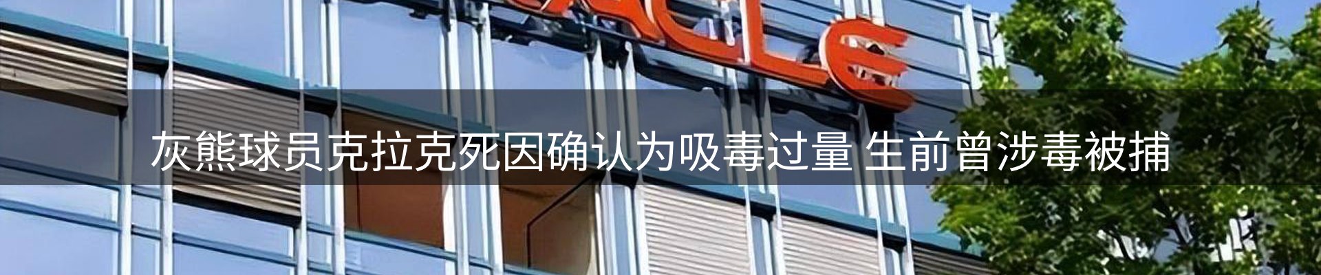 网站资讯