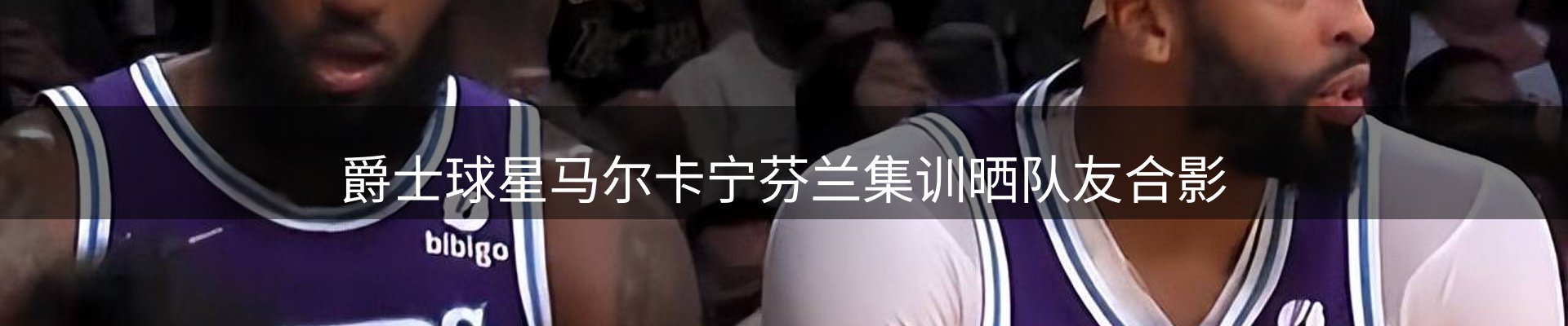 网站资讯