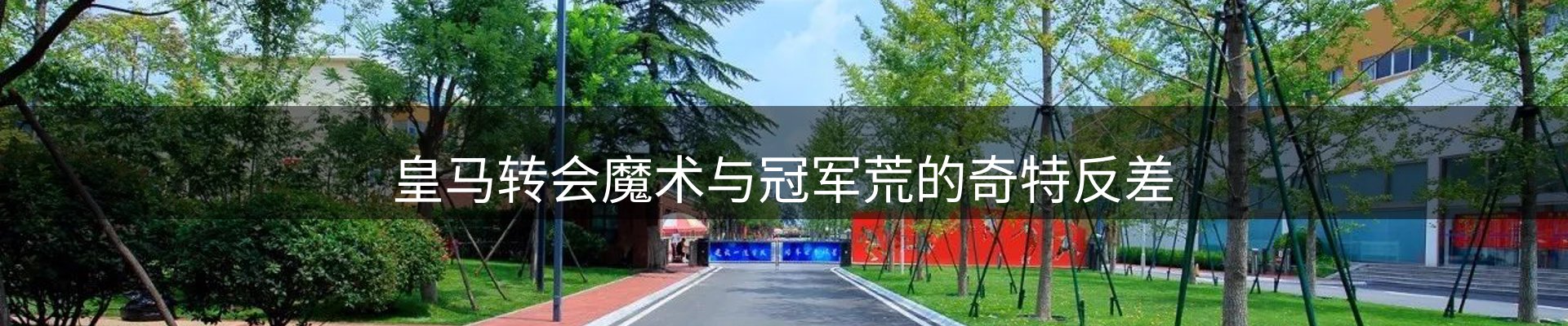 网站资讯