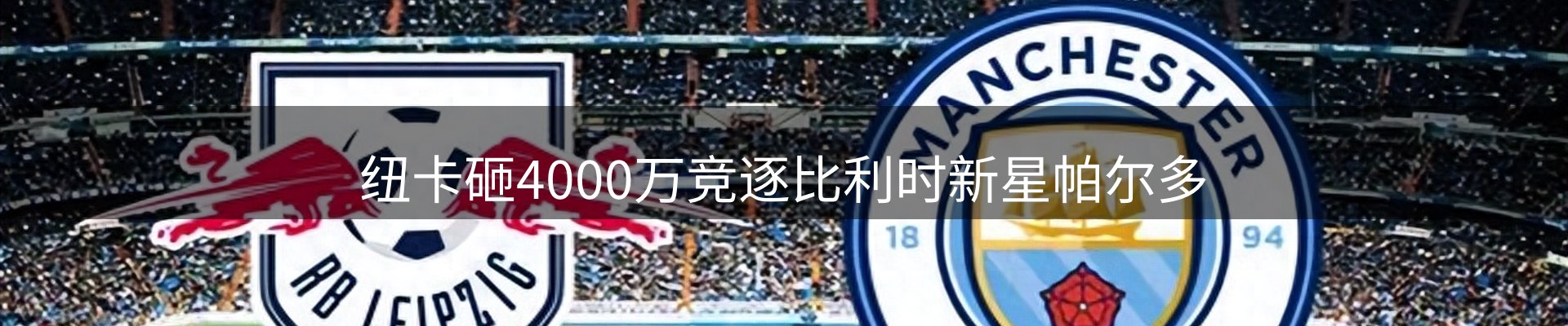 网站资讯