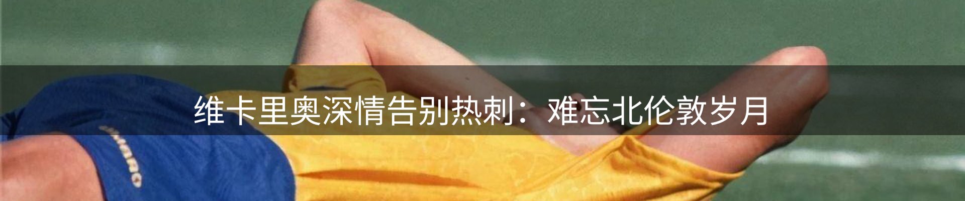 网站资讯